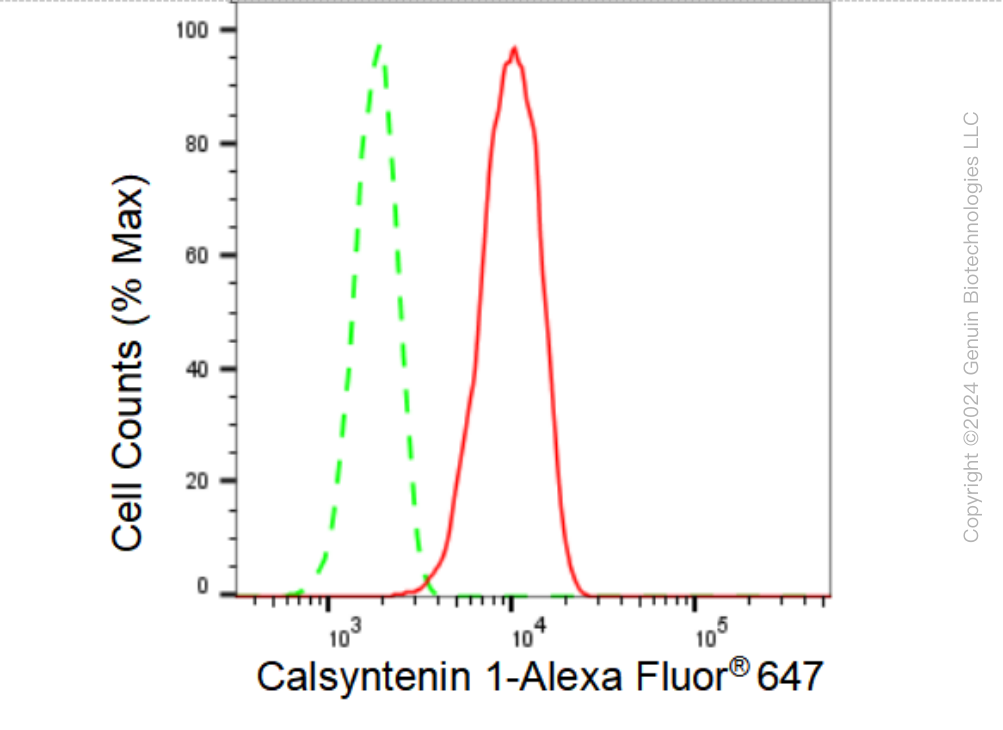 KD-Validated Anti-Calsyntenin 1 Rabbit Monoclonal Antibody ABG1350