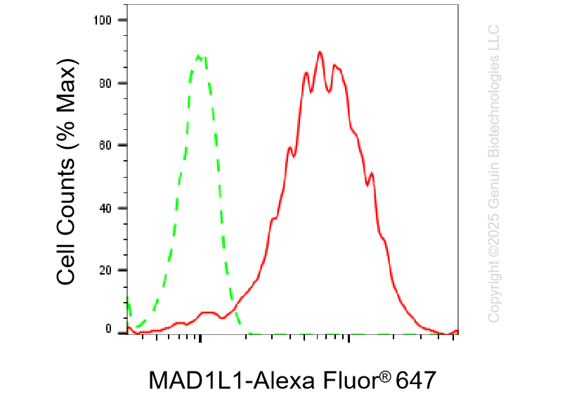 KD-Validated Anti-Mitotic Arrest Deficient 1 Like 1 Rabbit Monoclonal Antibody ABG1352