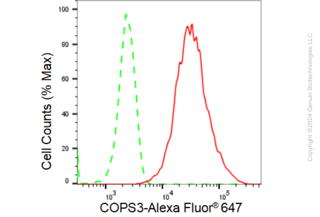 KD-Validated Anti-COPS3 Rabbit Monoclonal Antibody ABG1353