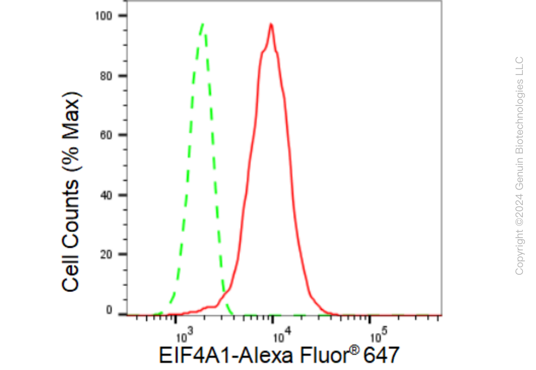 KD-Validated Anti-EIF4A1 Rabbit Monoclonal Antibody ABG1357