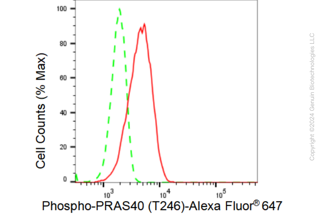 KD-Validated Anti-Phospho-PRAS40 (T246) Rabbit Monoclonal Antibody ABG1360