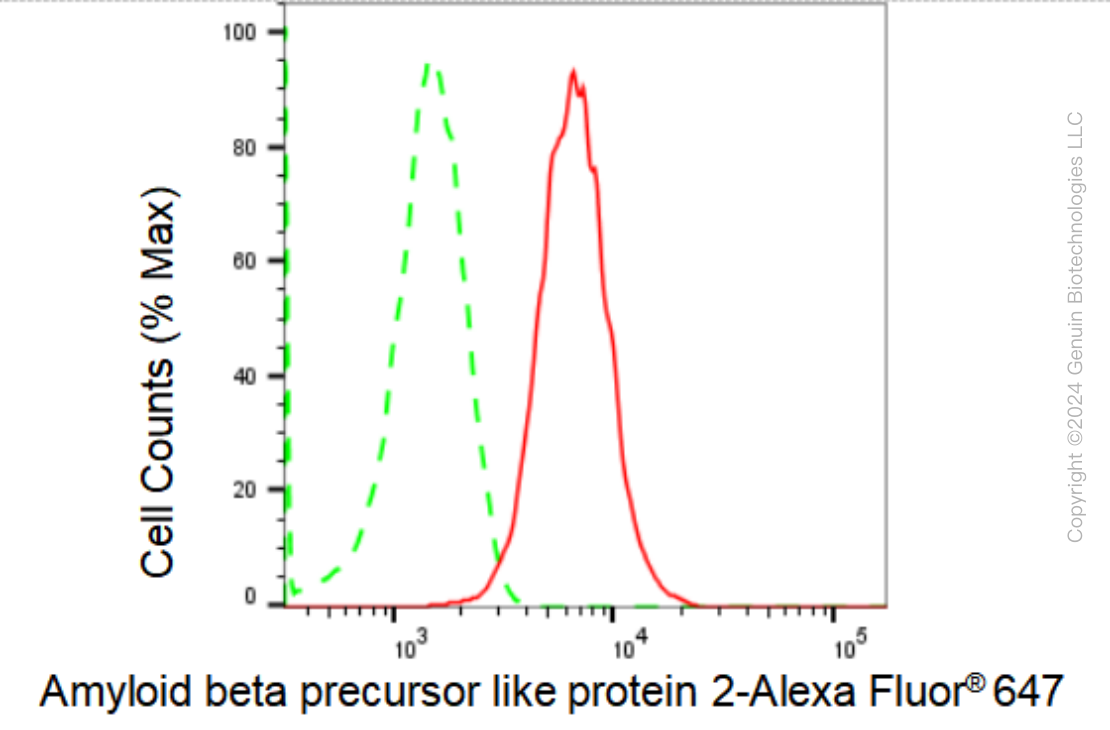 KD-Validated Anti-Amyloid beta precursor like protein 2 Rabbit Monoclonal Antibody ABG1367
