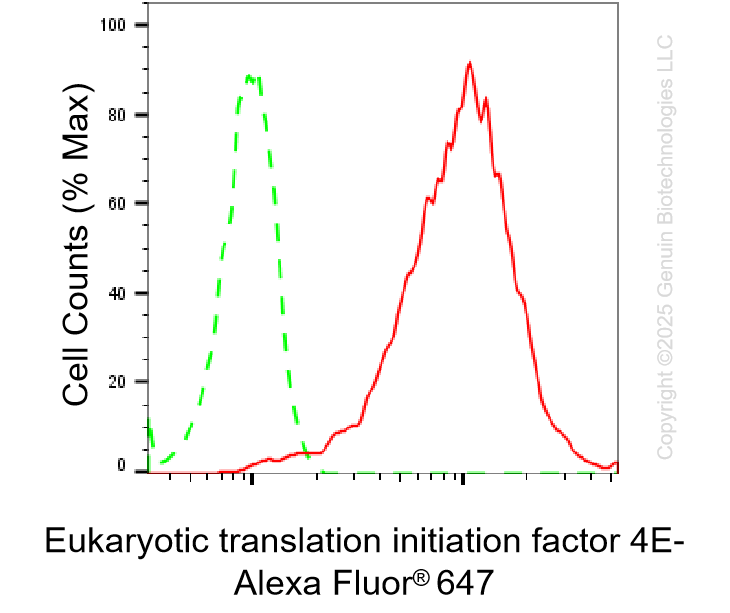 KD-Validated Anti-EIF4E Rabbit Monoclonal Antibody ABG1368
