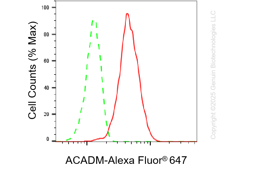 KD-Validated Anti-ACADM Rabbit Monoclonal Antibody ABG1369