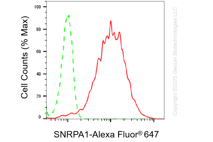 KD-Validated Anti-SNRPA1 Rabbit Monoclonal Antibody ABG1372