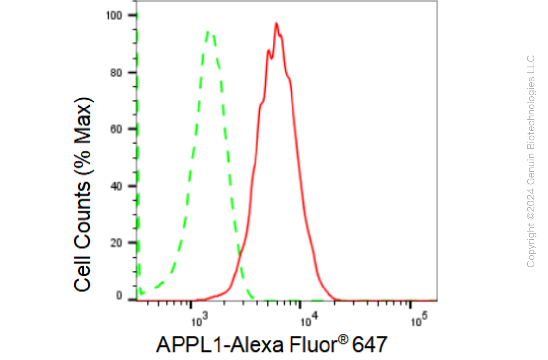 KD-Validated Anti-APPL1 Rabbit Monoclonal Antibody ABG1375