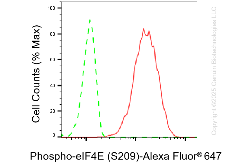 KD-Validated Anti-Phospho-eIF4E (S209) Rabbit Monoclonal Antibody ABG1376