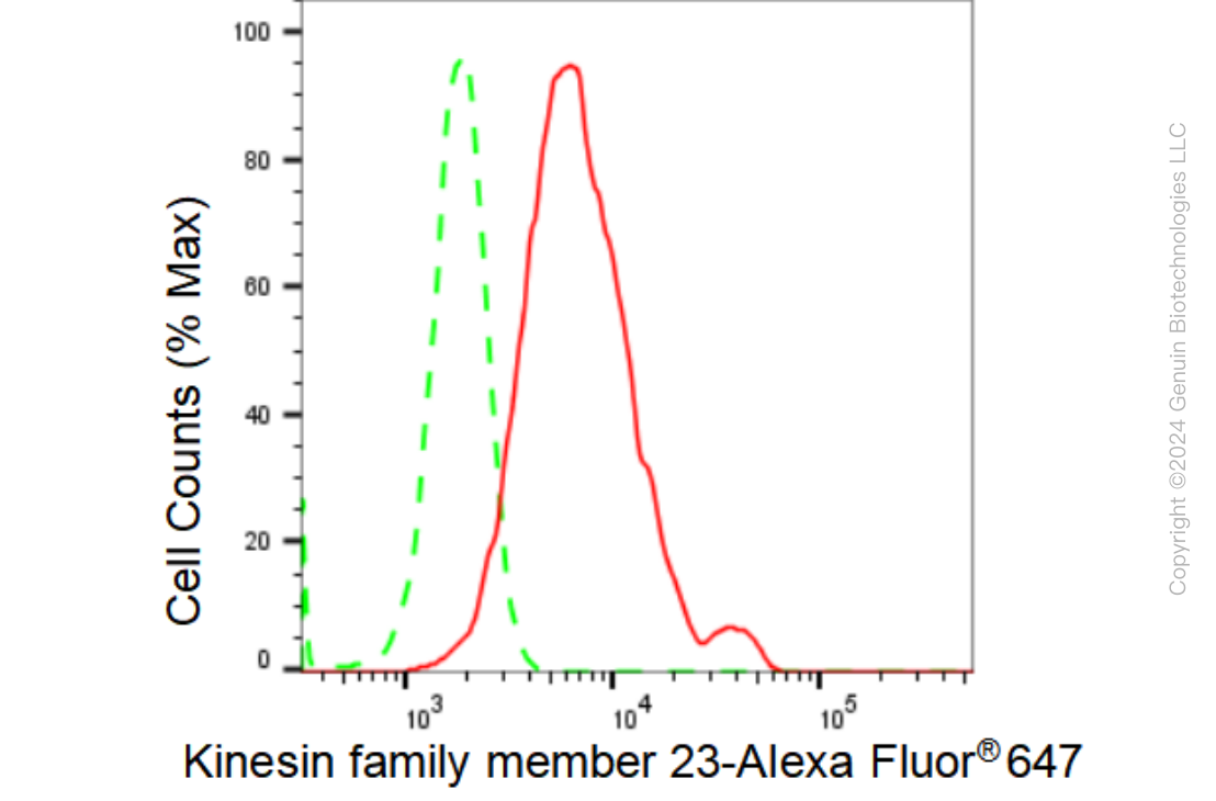 KD-Validated Anti-Kinesin family member 23 Rabbit Monoclonal Antibody ABG1384