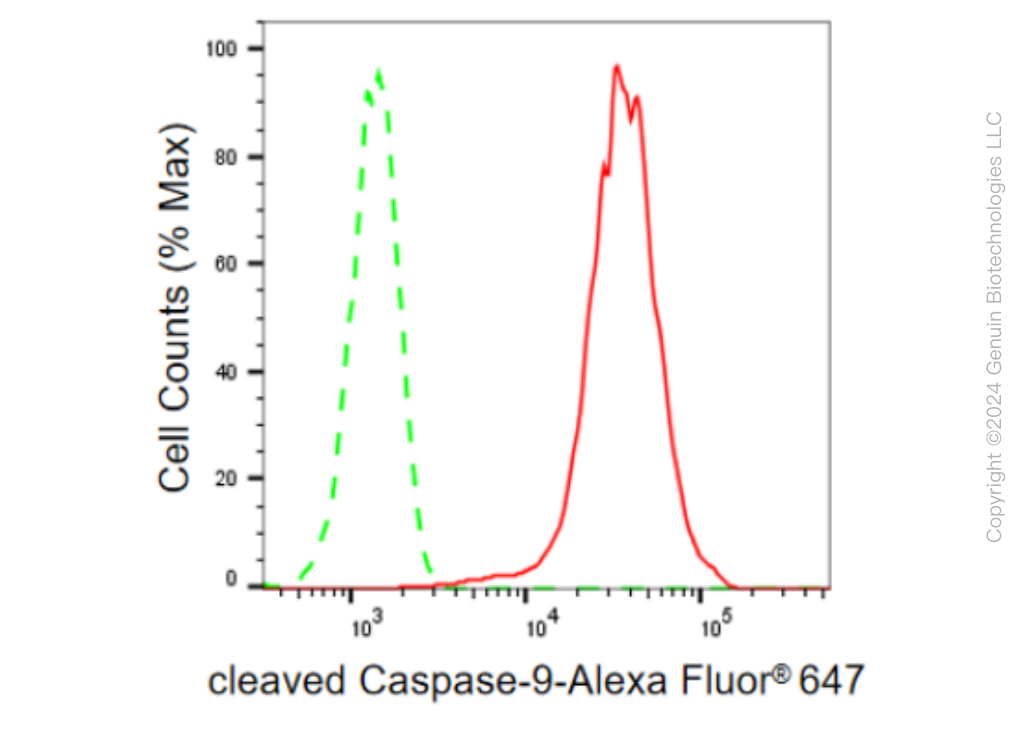 KD-Validated Anti-cleaved Caspase-9 Rabbit Monoclonal Antibody ABG1385