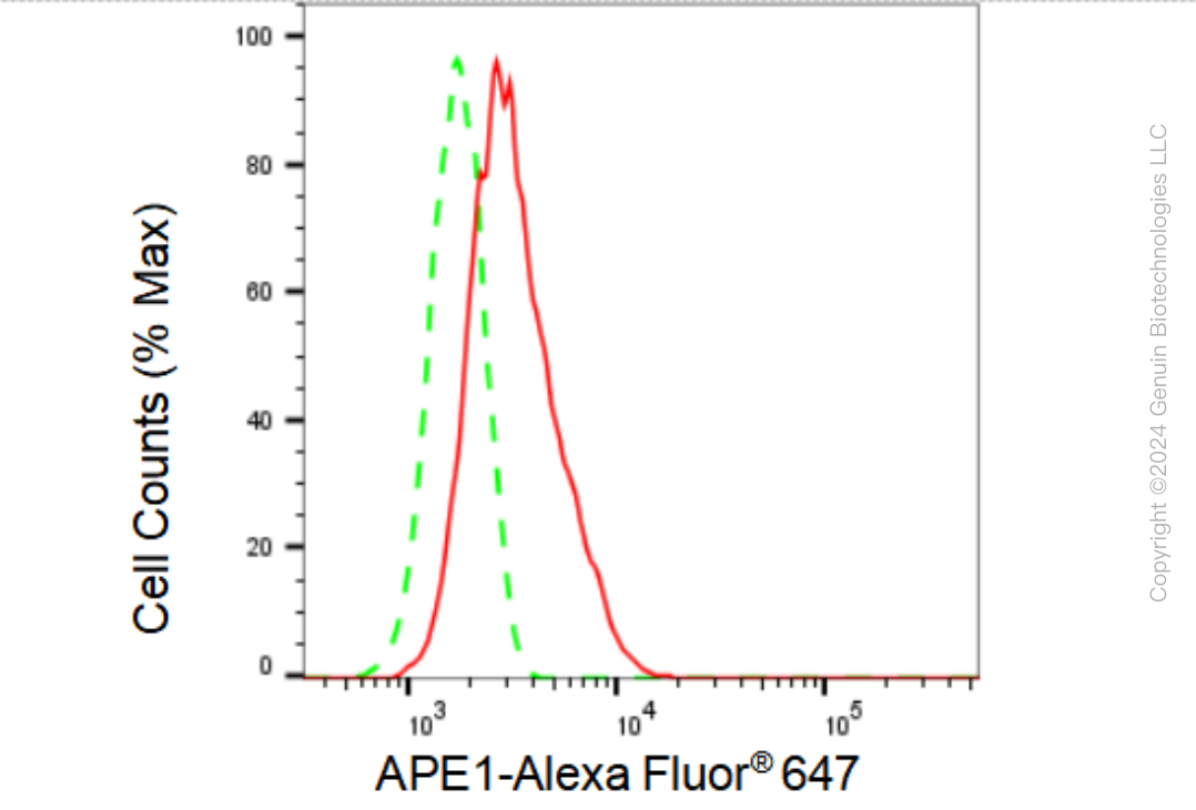 KD-Validated Anti-APE1 Rabbit Monoclonal Antibody ABG1387