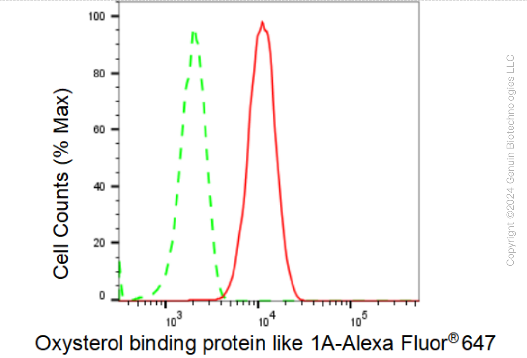 KD-Validated Anti-Oxysterol binding protein like 1A Rabbit Monoclonal Antibody ABG1389