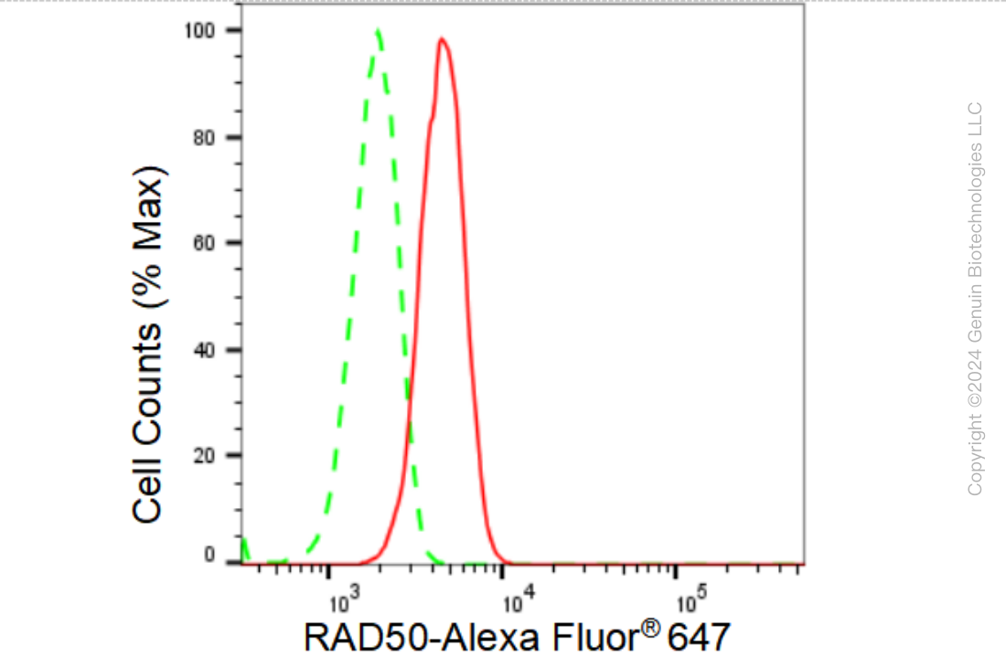KD-Validated Anti-RAD50 Rabbit Monoclonal Antibody ABG1395