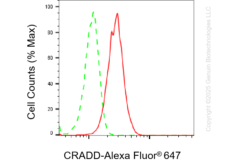 KD-Validated Anti-CRADD Rabbit Monoclonal Antibody ABG1399