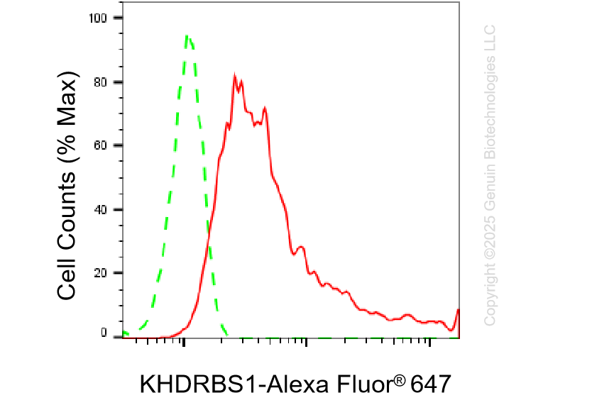 KD-Validated Anti-KHDRBS1 Rabbit Monoclonal Antibody ABG1400