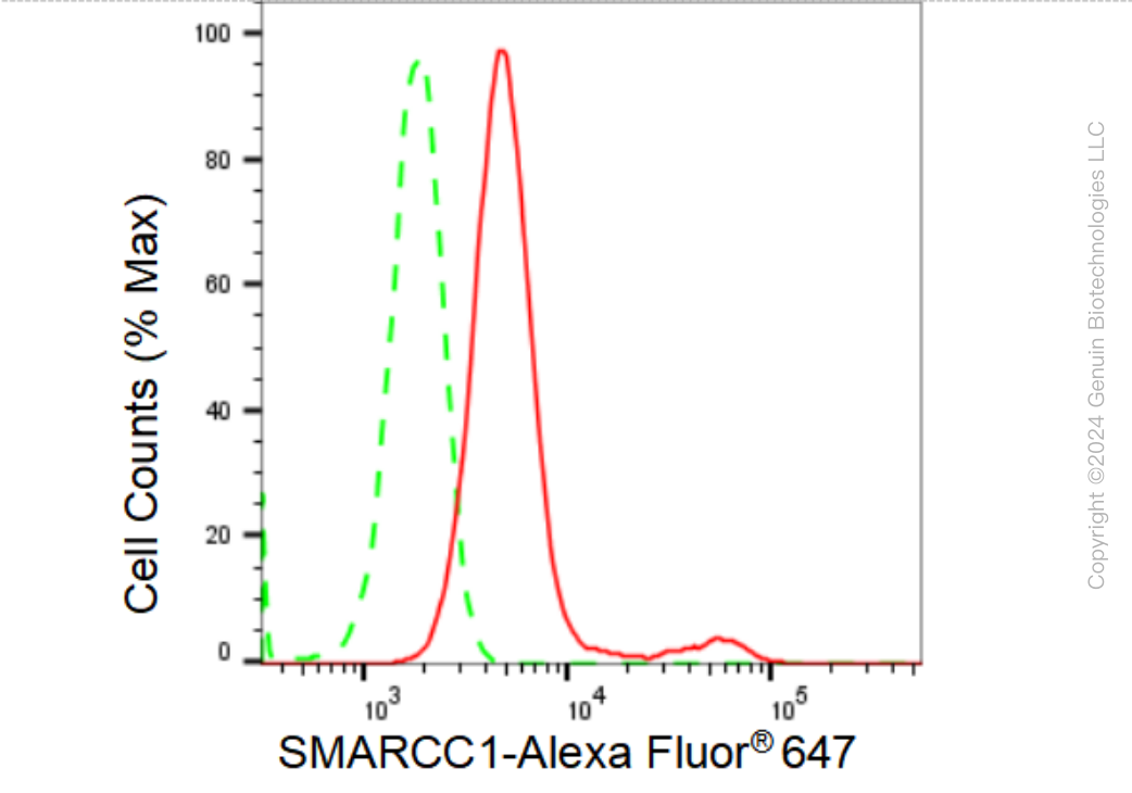 KD-Validated Anti-SMARCC1 Rabbit Monoclonal Antibody ABG1404