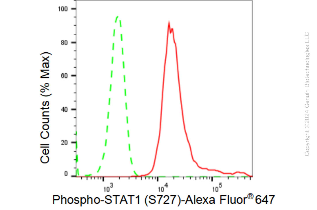 KD-Validated Anti-Phospho-STAT1 (S727) Rabbit Monoclonal Antibody ABG1409
