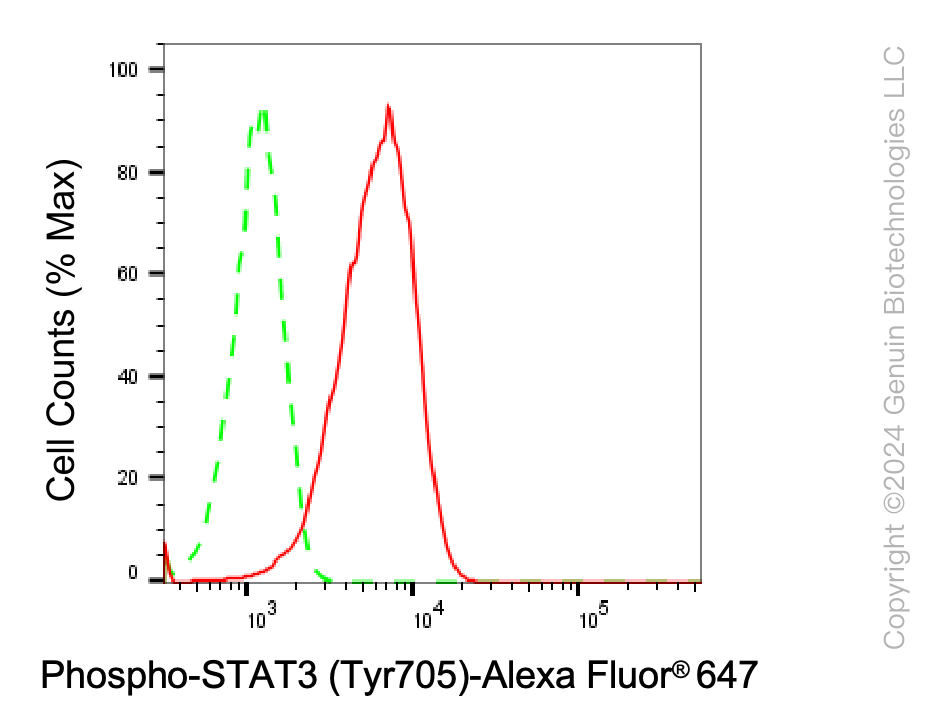 KD-Validated Anti-Phospho-STAT3 (Tyr705) Rabbit Monoclonal Antibody ABG1411