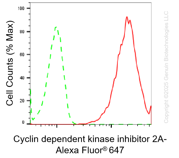 KD-Validated Anti-Cyclin Dependent Kinase Inhibitor 2A Rabbit Monoclonal Antibody ABG1412