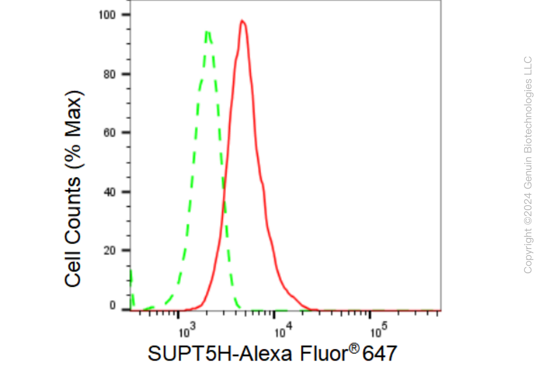 KD-Validated Anti-SUPT5H Rabbit Monoclonal Antibody ABG1413