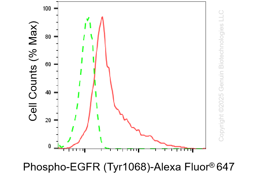 KD-Validated Anti-Phospho-EGFR (Tyr1068) Rabbit Monoclonal Antibody ABG1414