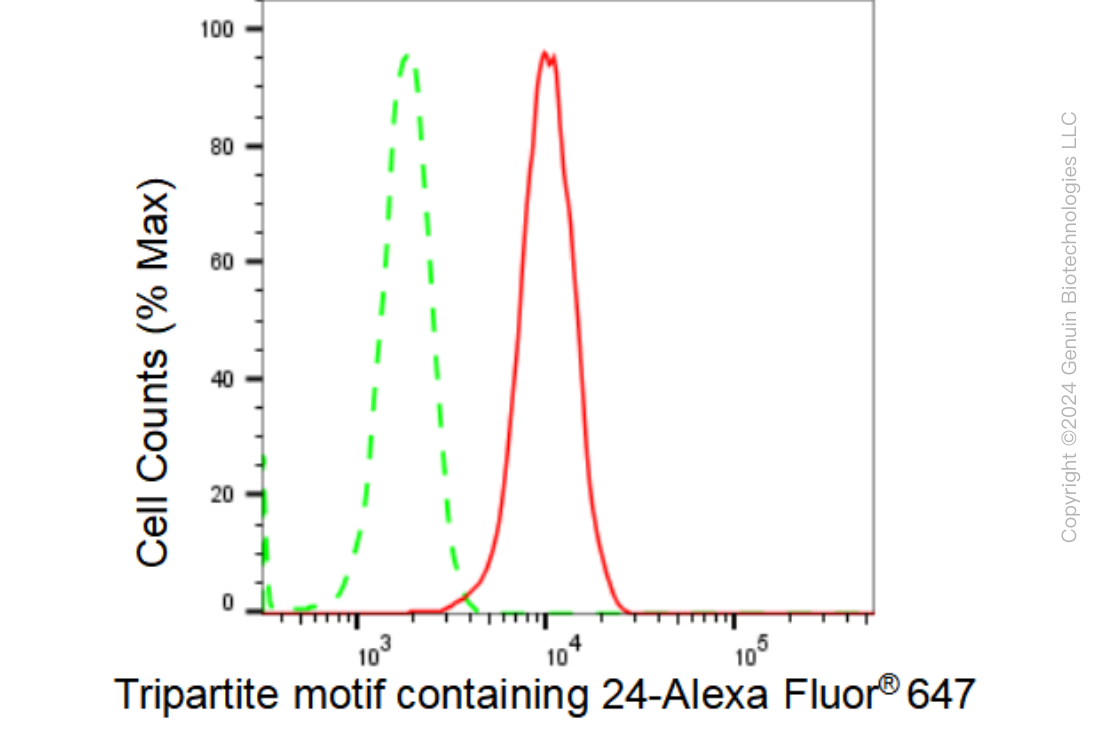 KD-Validated Anti-Tripartite motif containing 24 Rabbit Monoclonal Antibody ABG1415