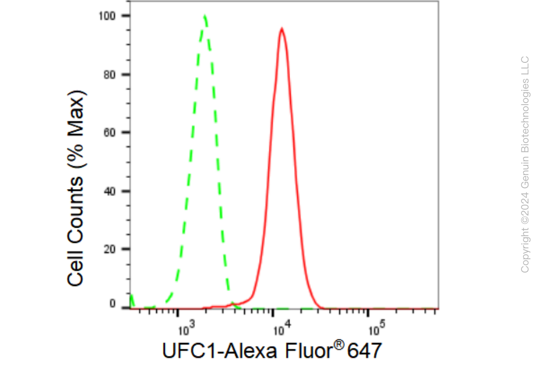 KD-Validated Anti-UFC1 Rabbit Monoclonal Antibody ABG1416