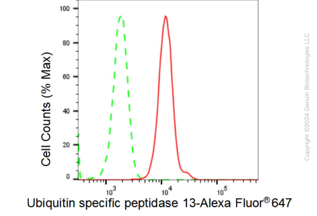 KD-Validated Anti-Ubiquitin specific peptidase 13 Rabbit Monoclonal Antibody ABG1417
