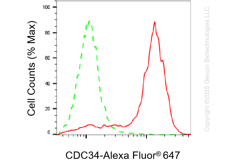 KD-Validated Anti-CDC34 Rabbit Monoclonal Antibody ABG1425