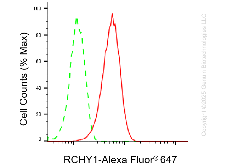 KD-Validated Anti-RCHY1 Rabbit Monoclonal Antibody ABG1430