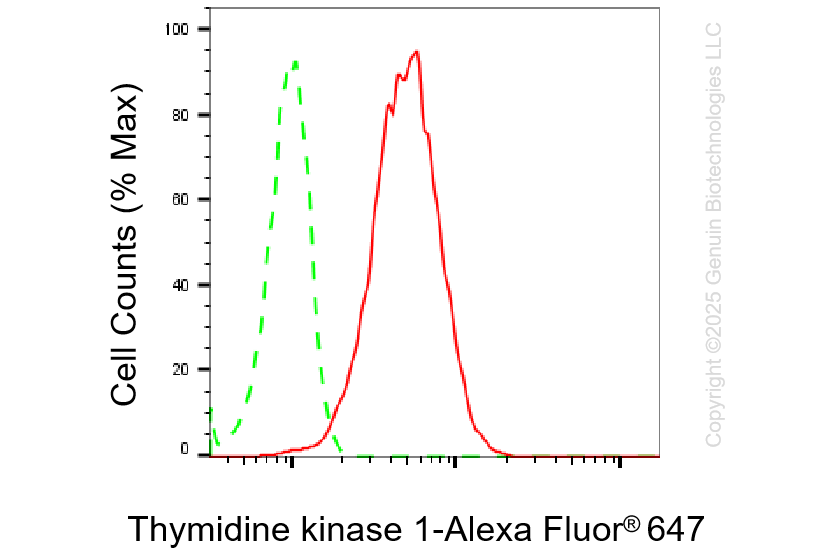 KD-Validated Anti-Thymidine Kinase 1 Rabbit Monoclonal Antibody ABG1431