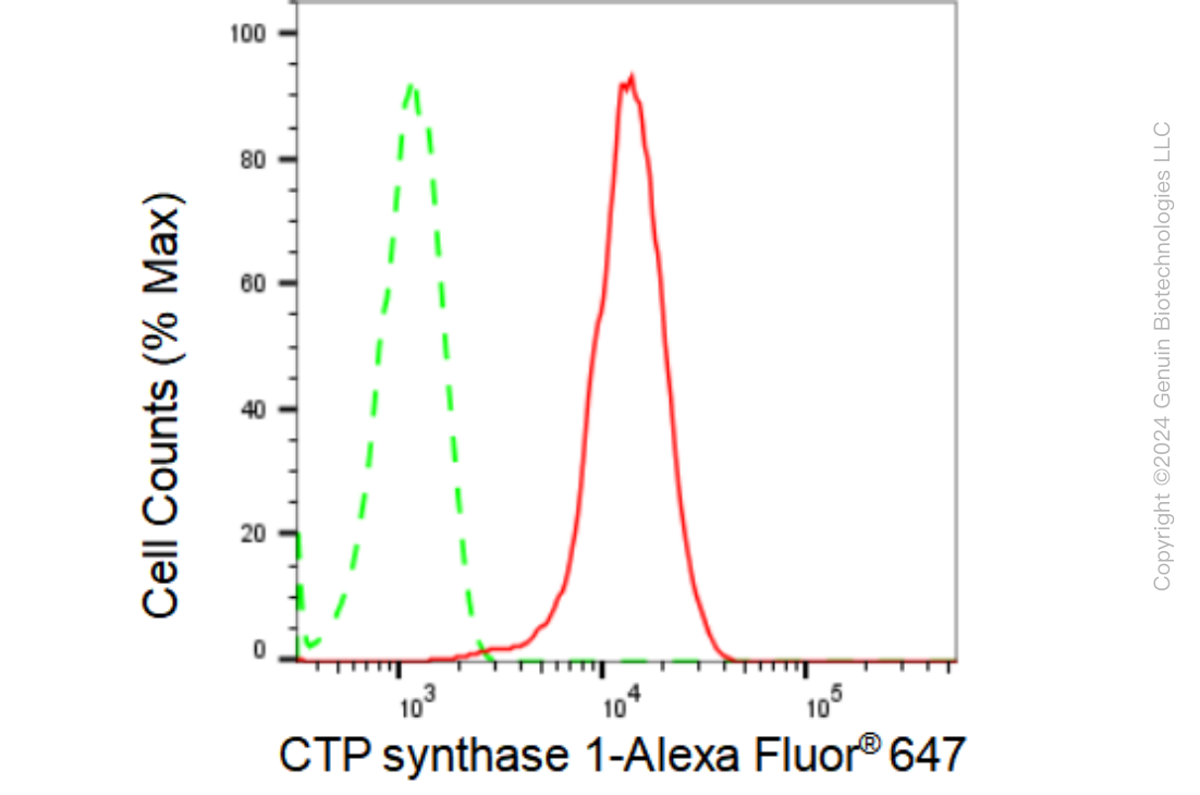 KD-Validated Anti-CTP synthase 1 Rabbit Monoclonal Antibody ABG1435