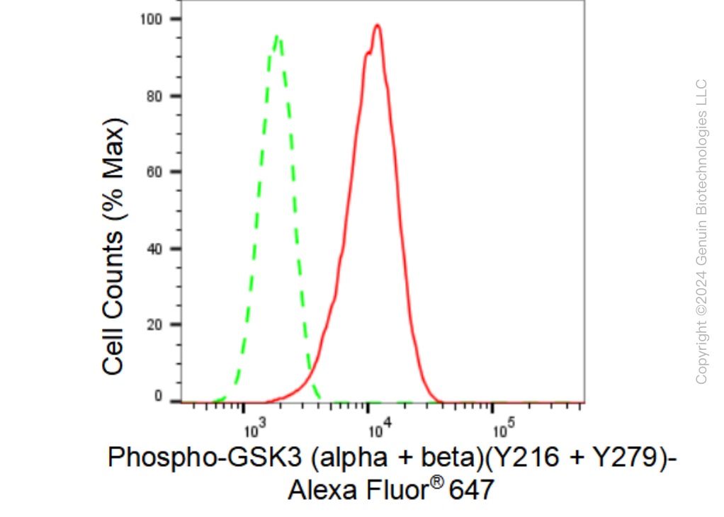 KD-Validated Anti-Phospho-GSK3 (alpha + beta)(Y216 + Y279) Rabbit Monoclonal Antibody ABG1436