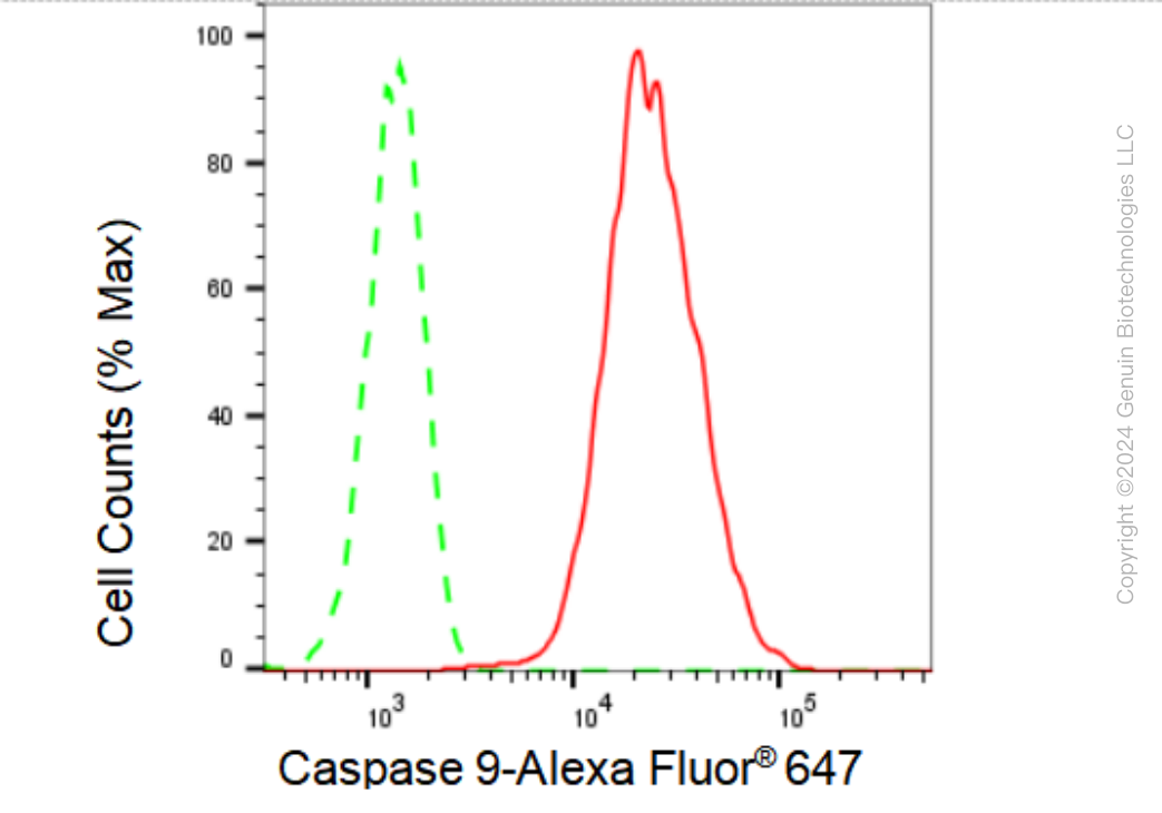 KD-Validated Anti-Caspase 9 Rabbit Monoclonal Antibody ABG1437