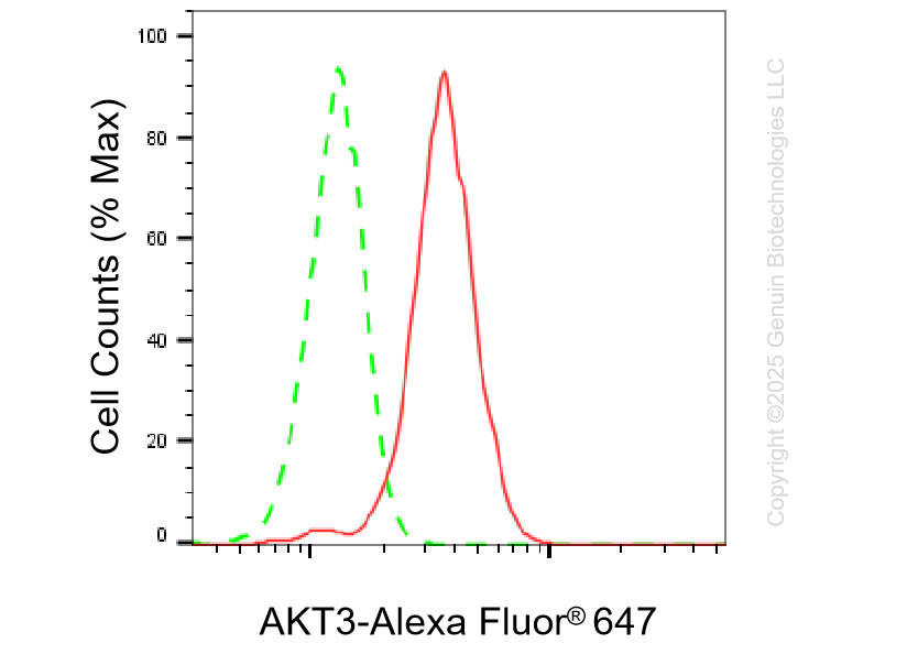 KD-Validated Anti-AKT3 Mouse Monoclonal Antibody ABG1438