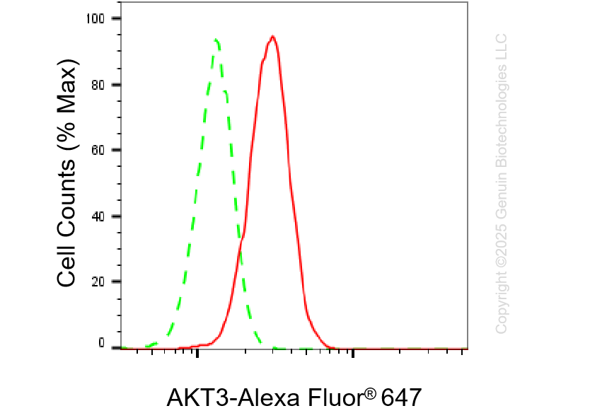 KD-Validated Anti-AKT3 Mouse Monoclonal Antibody ABG1441