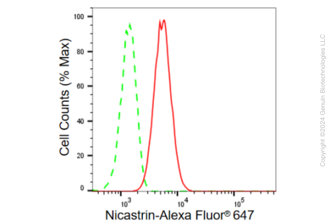 KD-Validated Anti-Nicastrin Rabbit Monoclonal Antibody ABG1442