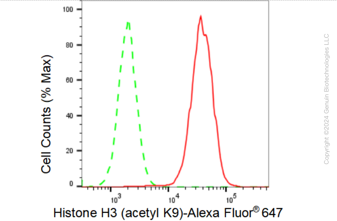 KD-Validated Anti-Histone H3 (acetyl K9) Rabbit Monoclonal Antibody ABG1443