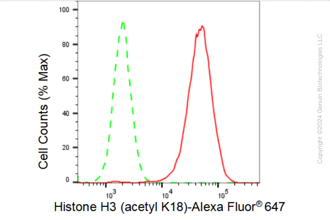 KD-Validated Anti-Histone H3 (acetyl K18) Rabbit Monoclonal Antibody ABG1444