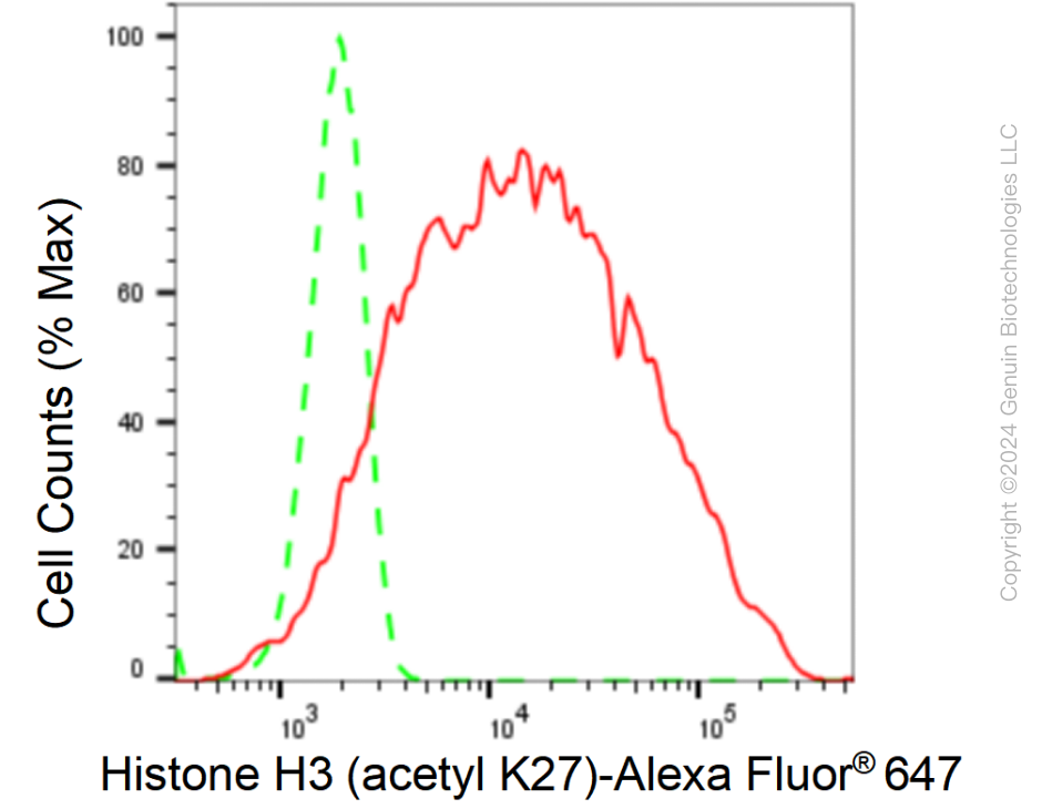 KD-Validated Anti-Histone H3 (acetyl K27) Rabbit Monoclonal Antibody ABG1445