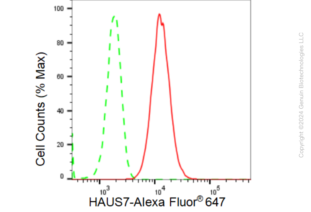 KD-Validated Anti-HAUS7 Rabbit Monoclonal Antibody ABG1446