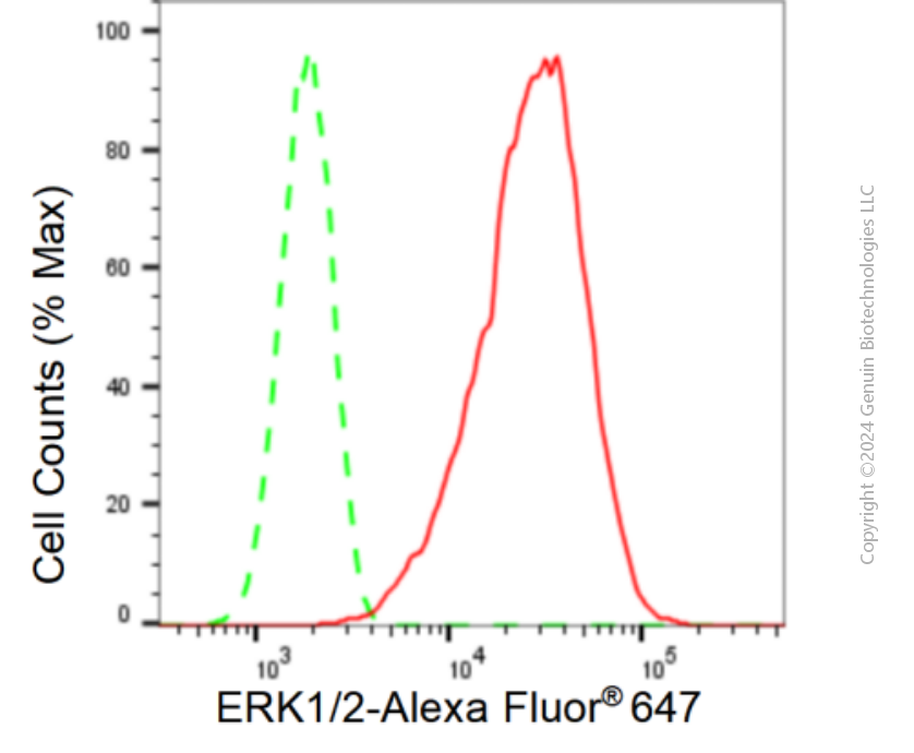 KD-Validated Anti-ERK1/2 Rabbit Monoclonal Antibody ABG1449