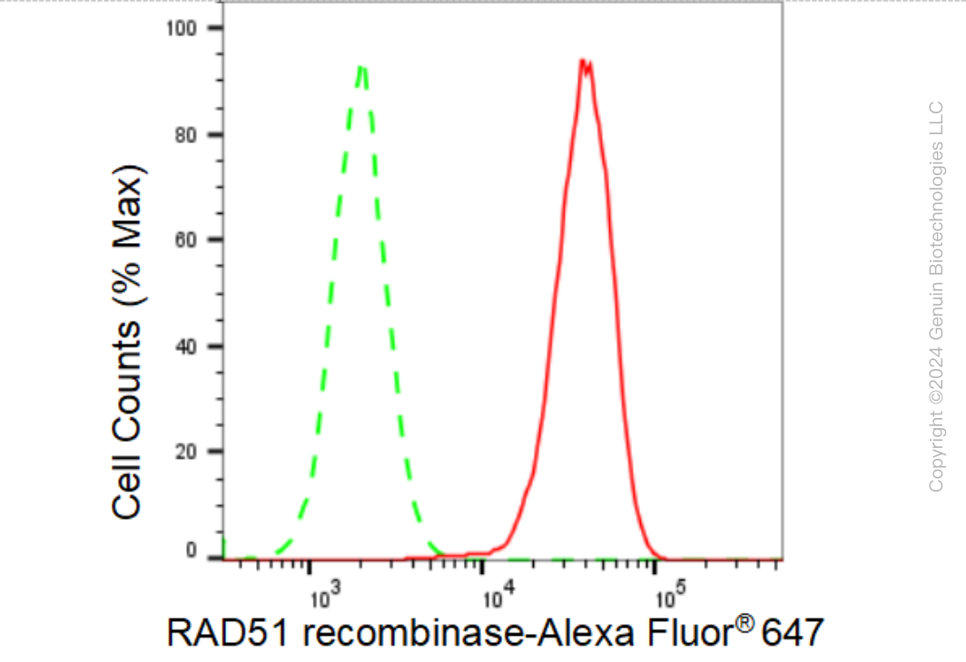 KD-Validated Anti-RAD51 recombinase Rabbit Monoclonal Antibody ABG1460