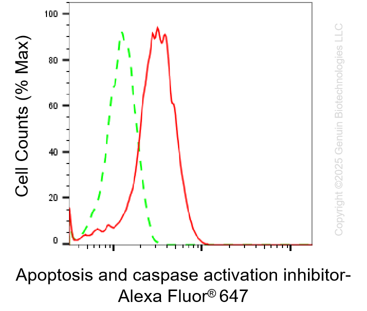 KD-Validated Anti-AVEN Rabbit Monoclonal Antibody ABG1461