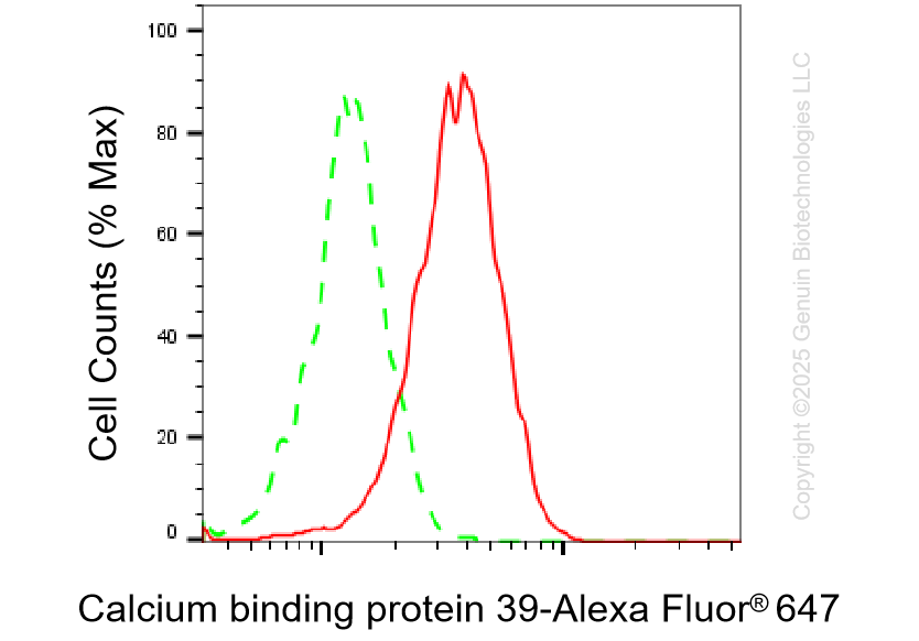 KD-Validated Anti-CAB39 Rabbit Monoclonal Antibody ABG1462