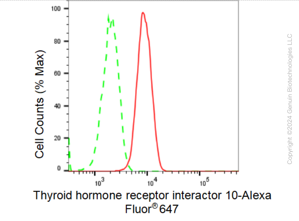 KD-Validated Anti-Thyroid hormone receptor interactor 10 Rabbit Monoclonal Antibody ABG1468
