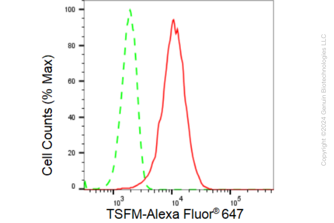 KD-Validated Anti-TSFM Rabbit Monoclonal Antibody ABG1469