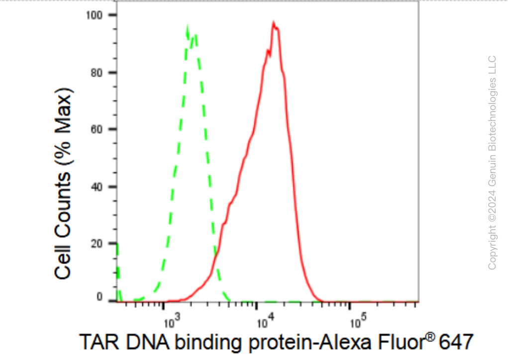 KD-Validated Anti-TAR DNA binding protein Rabbit Monoclonal Antibody ABG1472