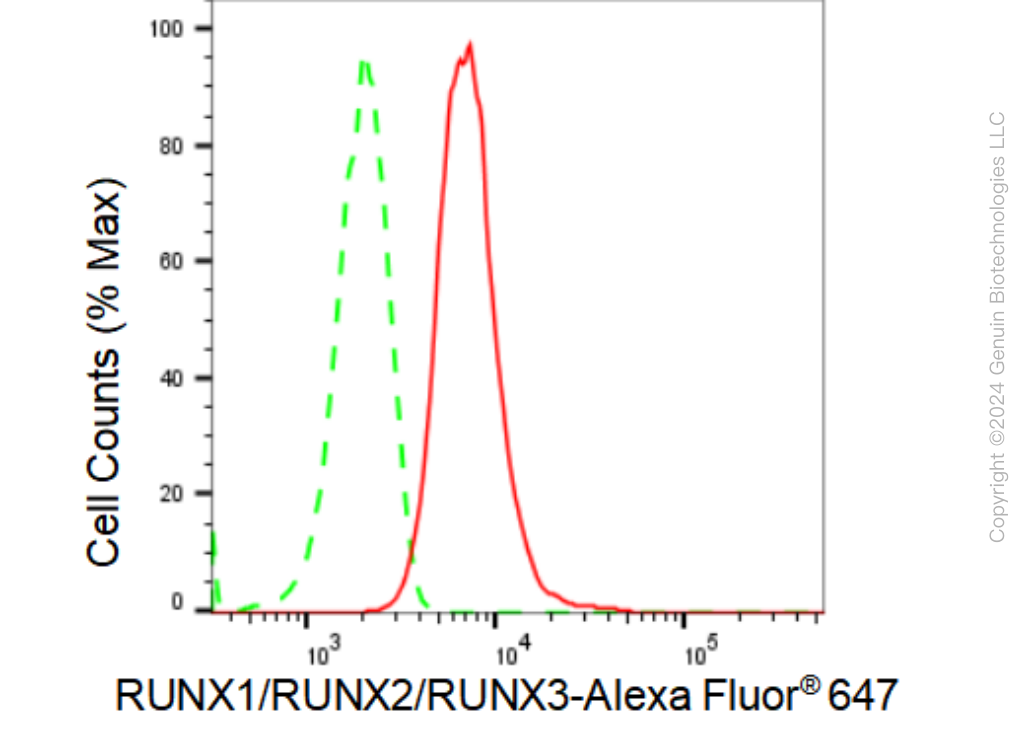 KD-Validated Anti-RUNX1/RUNX2/RUNX3 Rabbit Monoclonal Antibody ABG1477