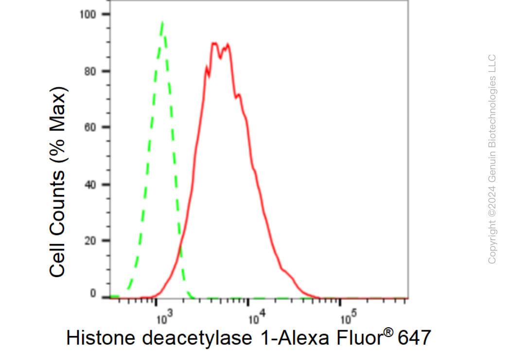 KD-Validated Anti-Histone deacetylase 1 Rabbit Monoclonal Antibody ABG1478