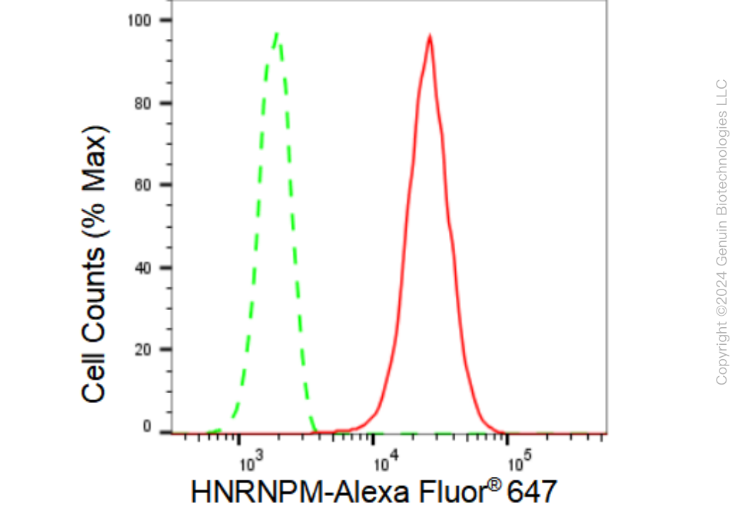 KD-Validated Anti-HNRNPM Rabbit Monoclonal Antibody ABG1480